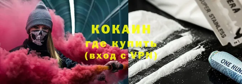 COCAIN Fish Scale  сколько стоит  Норильск 