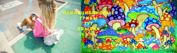 соль курить ск Михайловка