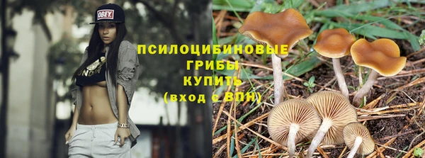 соль курить ск Михайловка